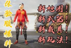 和平精英体检服最新爆料,揭秘游戏内神秘功能与改动