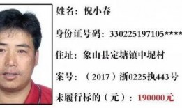 海南老赖爆料案件最新,惊天大案背后的人间冷暖与法治较量