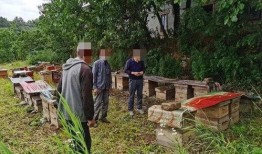 西安二环内爆料事件最新,揭秘背后真相与影响